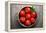 Tomatoes-Bozena_Fulawka-Framed Premier Image Canvas