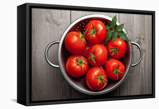 Tomatoes-Bozena_Fulawka-Framed Premier Image Canvas