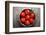 Tomatoes-Bozena_Fulawka-Framed Photographic Print