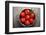 Tomatoes-Bozena_Fulawka-Framed Photographic Print