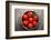 Tomatoes-Bozena_Fulawka-Framed Photographic Print