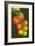 Tomatoes-Lantern Press-Framed Art Print