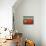 Tomatoes-Diane Pedersen-Premium Giclee Print displayed on a wall