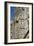 Tomb of Artaxerxes Ii, Persepolis, Iran-Vivienne Sharp-Framed Photographic Print