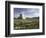 Tomb of Cyrus the Great, Passargadae (Pasargadae), Iran, Middle East-Christina Gascoigne-Framed Photographic Print