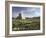 Tomb of Cyrus the Great, Passargadae (Pasargadae), Iran, Middle East-Christina Gascoigne-Framed Photographic Print