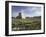 Tomb of Cyrus the Great, Passargadae (Pasargadae), Iran, Middle East-Christina Gascoigne-Framed Photographic Print