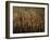 Tomb of Ptah Hotep, Sakkarra, Saqqara, New Kingdom, Egypt-Kenneth Garrett-Framed Photographic Print