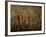 Tomb of Ptah Hotep, Sakkarra, Saqqara, New Kingdom, Egypt-Kenneth Garrett-Framed Photographic Print