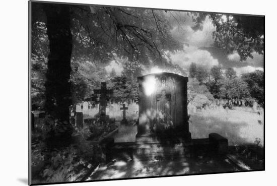 Tomb of the Burnside Family, Brompton Cemetery, London, England-Simon Marsden-Mounted Giclee Print