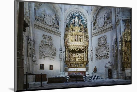 Tomb of the Constables of Castile, Burgos Cathedral, UNESCO World Heritage Site-Alex Robinson-Mounted Photographic Print