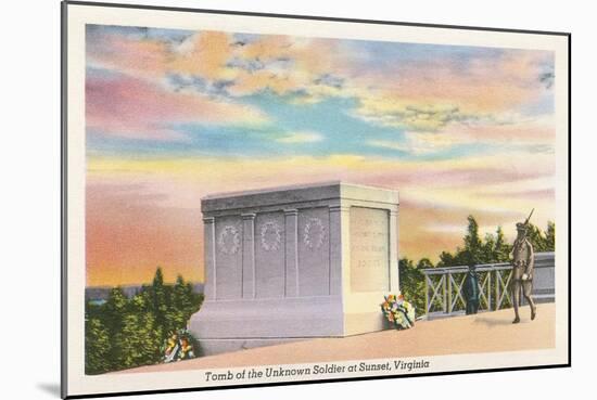 Tomb of Unknown Soldier, Arlington National Cemetery-null-Mounted Art Print