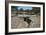 Tomba Di Giganti Moru, a Bronze Age Funerary Monument Dating from 1300 Bc-Ethel Davies-Framed Photographic Print