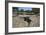 Tomba Di Giganti Moru, a Bronze Age Funerary Monument Dating from 1300 Bc-Ethel Davies-Framed Photographic Print