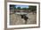 Tomba Di Giganti Moru, a Bronze Age Funerary Monument Dating from 1300 Bc-Ethel Davies-Framed Photographic Print