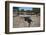 Tomba Di Giganti Moru, a Bronze Age Funerary Monument Dating from 1300 Bc-Ethel Davies-Framed Photographic Print