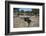 Tomba Di Giganti Moru, a Bronze Age Funerary Monument Dating from 1300 Bc-Ethel Davies-Framed Photographic Print