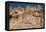 Tombs of Ataxerxes I and Darius the Great, Naqsh-e Rostam Necropolis, near Persepolis, Iran, Middle-James Strachan-Framed Premier Image Canvas