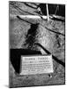 Tombstone of Bonnie Parker-Carl Mydans-Mounted Photographic Print