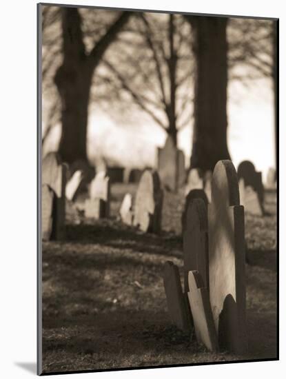 Tombstones in cemetery-Rudy Sulgan-Mounted Photographic Print