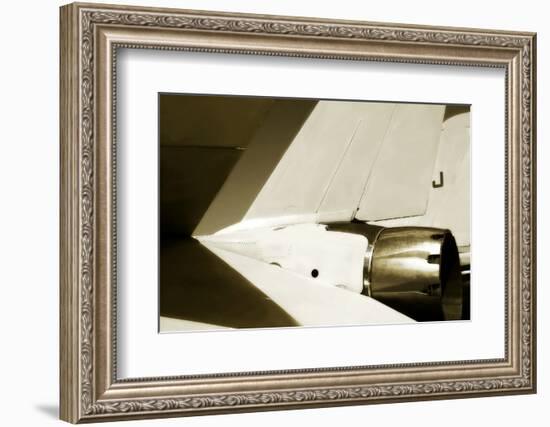 Tomcat II-Alan Hausenflock-Framed Photographic Print