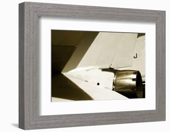 Tomcat II-Alan Hausenflock-Framed Photographic Print