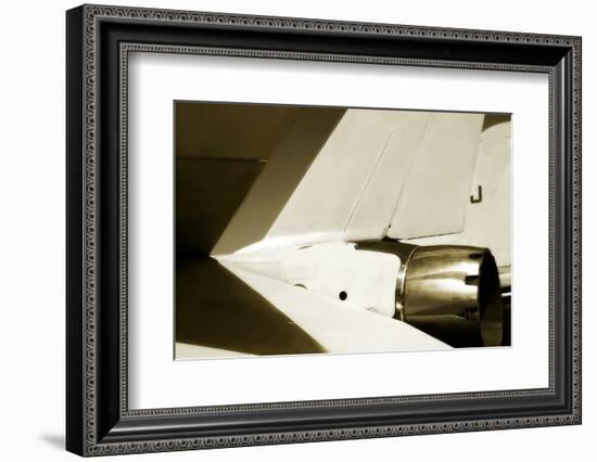 Tomcat II-Alan Hausenflock-Framed Photographic Print