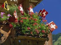 Red Geraniums and Blue Shutters, Bort, Grindelwald, Bern, Switzerland, Europe-Tomlinson Ruth-Photographic Print