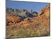 Photographic Print