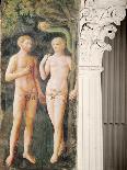 Detail of the Temptation of Adam and Eve, C.1423-25 (Fresco) (Detail of 430556)-Tommaso Masolino Da Panicale-Giclee Print