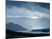 Premium Photographic Print
