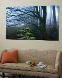 Moss Covered Stone Wall and Trees in Dense Fog-Tommy Martin-Framed Premier Image Canvas