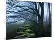 Premium Photographic Print