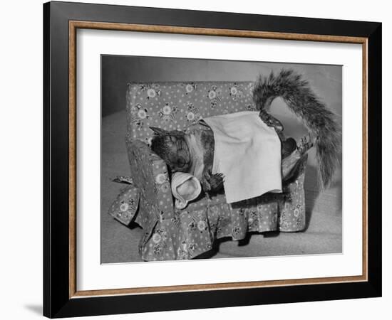 Tommy Tucker the Squirrel Sleeping on a Tiny Couch-Nina Leen-Framed Photographic Print
