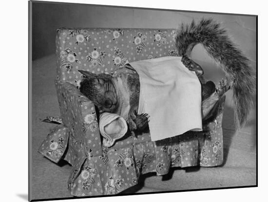 Tommy Tucker the Squirrel Sleeping on a Tiny Couch-Nina Leen-Mounted Photographic Print