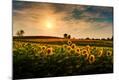 Photographic Print