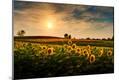 Photographic Print