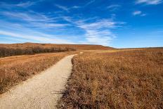 Pathway into the Prairie-tomofbluesprings-Photographic Print