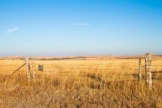 Pathway into the Prairie-tomofbluesprings-Premier Image Canvas