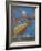 Tomorrow-Norman Wyatt Jr.-Framed Art Print