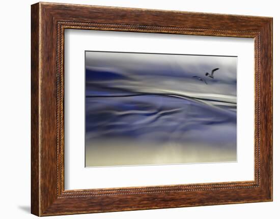 Tomorrows Dream-Heidi Westum-Framed Photographic Print