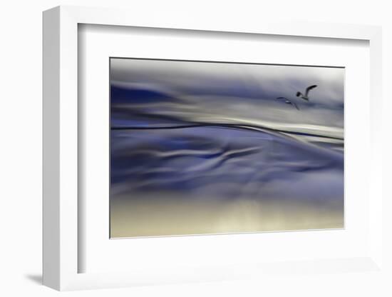 Tomorrows Dream-Heidi Westum-Framed Photographic Print