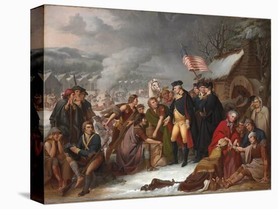 Stretched Canvas Print, , large