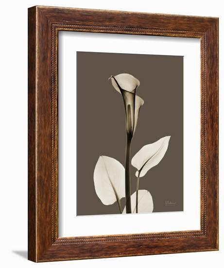 Tonal Calla Lily-Albert Koetsier-Framed Art Print