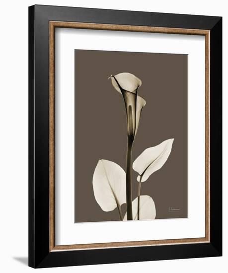 Tonal Calla Lily-Albert Koetsier-Framed Art Print