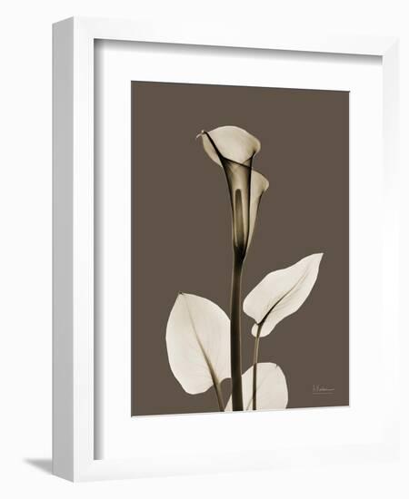 Tonal Calla Lily-Albert Koetsier-Framed Art Print