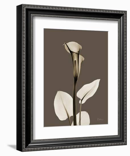 Tonal Calla Lily-Albert Koetsier-Framed Art Print