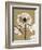 Tonal Chrysanthemum-Albert Koetsier-Framed Art Print