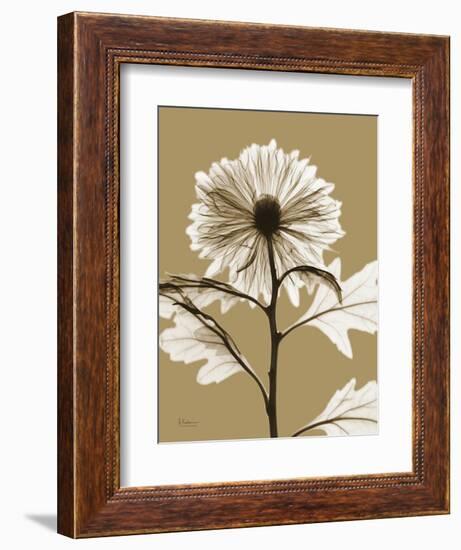 Tonal Chrysanthemum-Albert Koetsier-Framed Art Print