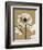 Tonal Chrysanthemum-Albert Koetsier-Framed Art Print